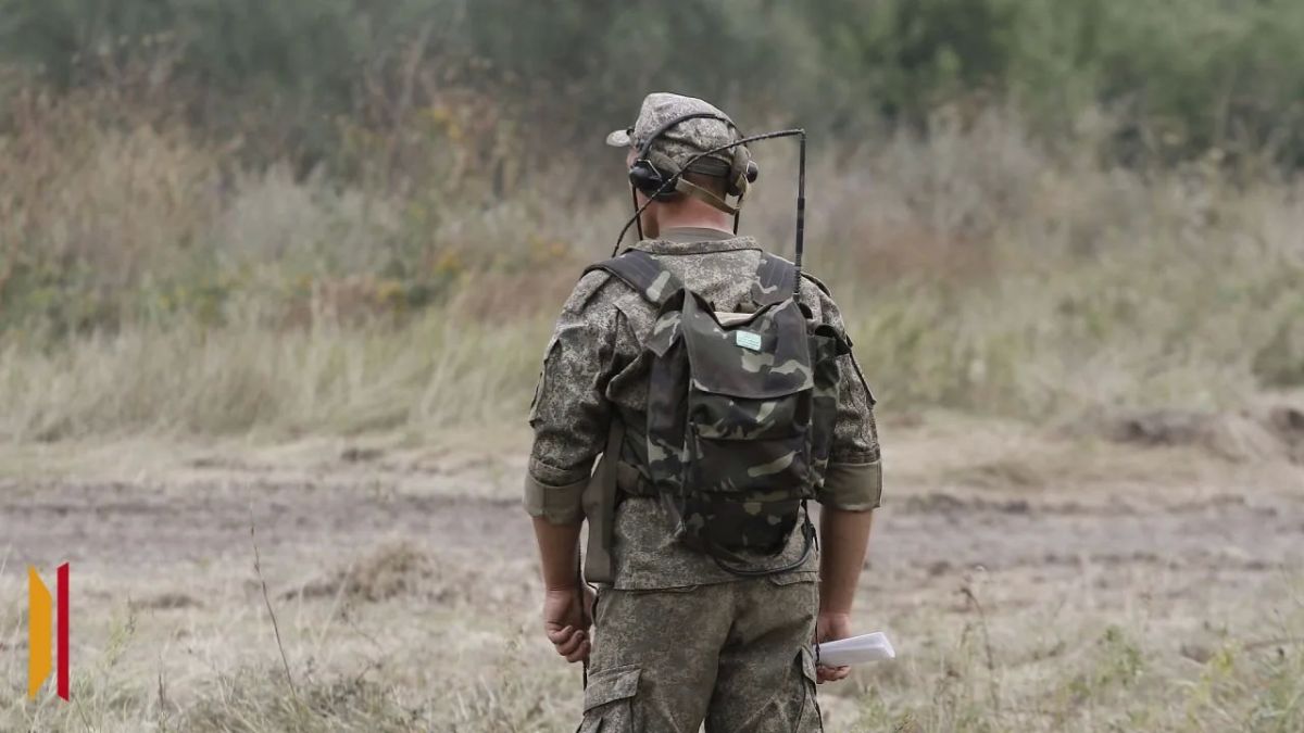 Электронное удостоверение «СВОи»: какие льготы доступны ветеранам боевых действий в Воронежской области