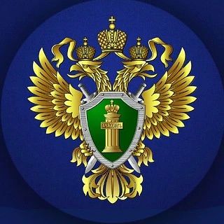 Сегодня, 07 июля 2026 года, вступил в законную силу приговор Семилукского районного суда в отношении 23-летнего Сергея Волкова