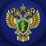 Сегодня, 07 июля 2026 года, вступил в законную силу приговор Семилукского районного суда в отношении 23-летнего Сергея Волкова