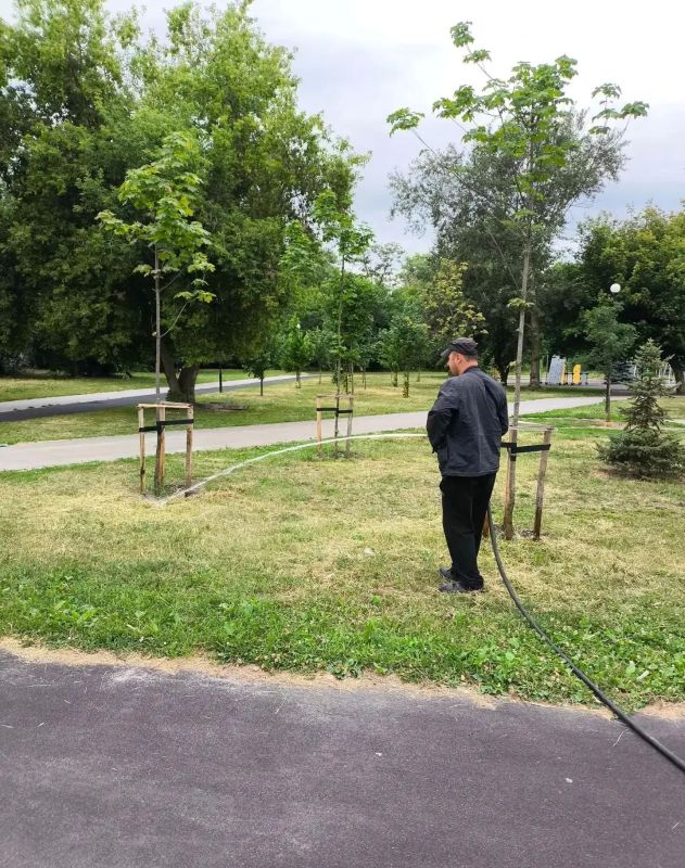 Сотрудники зеленого хозяйства продолжают ухаживать за растениями Сотрудники зеленого хозяйства продолжают ухаживать за растениями