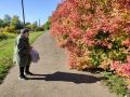 Сентябрьские заботы: 7 важных шагов для вашего сада и огорода