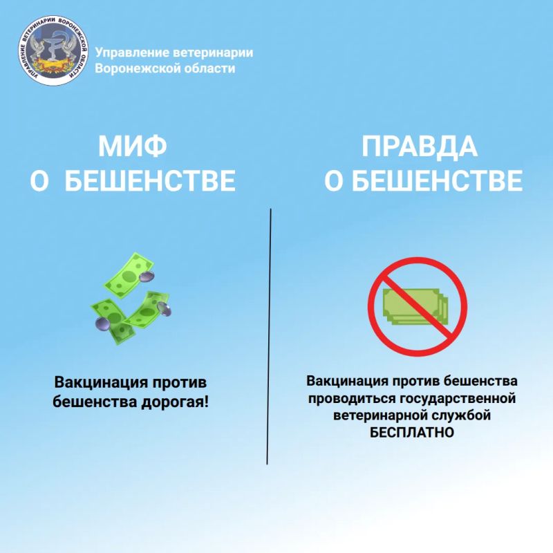 Бешенство: миф или правда? Подробнее в карточках Бешенство: миф или правда? Подробнее в карточках