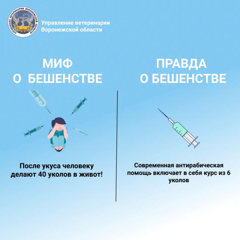 Бешенство: миф или правда? Подробнее в карточках Бешенство: миф или правда? Подробнее в карточках