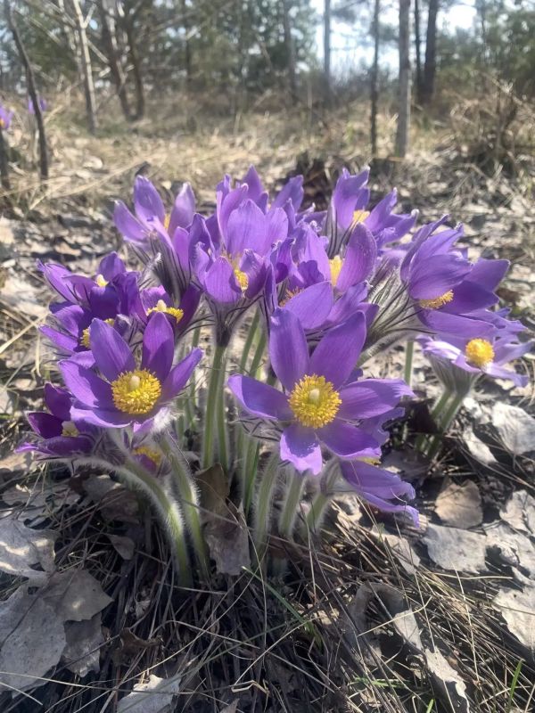 Продолжается сбор работ участников Межрегионального конкурса фотографий «Природа родного края» Продолжается сбор работ участников Межрегионального конкурса фотографий «Природа родного края»