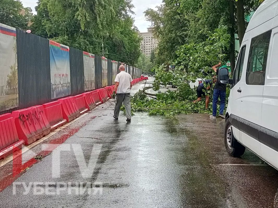 На Студенческой ураганом оторвало ветку дерева На Студенческой ураганом оторвало ветку дерева