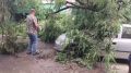 Комбинат благоустройства Железнодорожного района продолжает устранять последствия непогоды