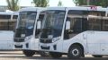 Нарушения в очередях к заправкам простят не всем воронежцам