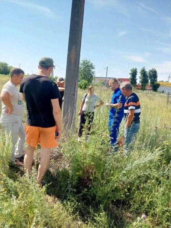 В Подгоренском районе полицейские и волонтеры спасли заблудившуюся 80-летнюю женщину В Подгоренском районе полицейские и волонтеры спасли заблудившуюся 80-летнюю женщину