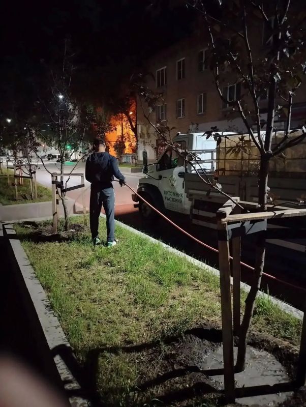В Воронеже продолжают заботиться о зеленом облике города В Воронеже продолжают заботиться о зеленом облике города