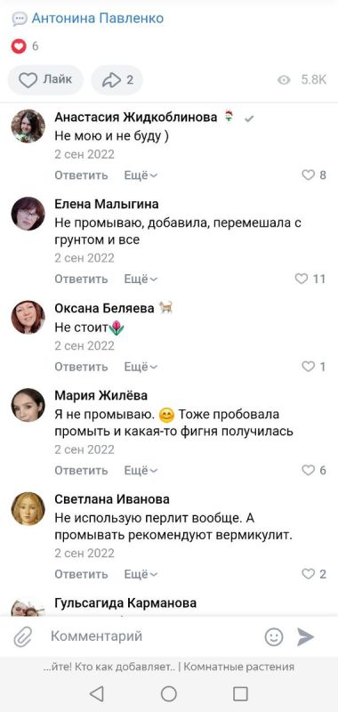 Перлит: что нужно знать о его использовании в садоводстве
