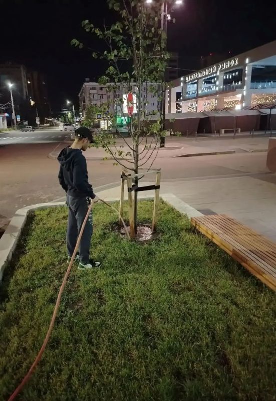 В Воронеже продолжают заботиться о зеленом облике города В Воронеже продолжают заботиться о зеленом облике города