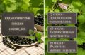 Воронежских педагогов приглашают на пикник!