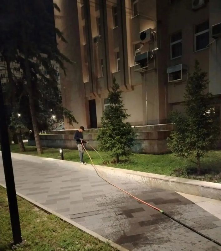 В Воронеже продолжают заботиться о зеленом облике города В Воронеже продолжают заботиться о зеленом облике города