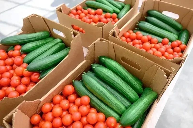 Тепличный комплекс за 22,7 млрд рублей открыли в Бобровском районе Тепличный комплекс за 22,7 млрд рублей открыли в Бобровском районе