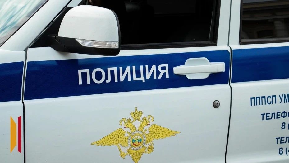 «Биржевая игра» обернулась для воронежского библиотекаря потерей 4,7 млн рублей