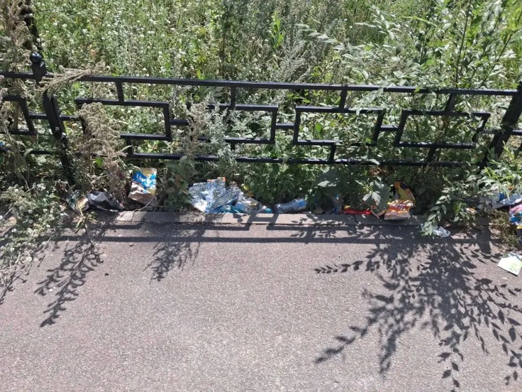 Воронежцы пожаловались на работу управляющих компаний из-за мусора во дворах Воронежцы пожаловались на работу управляющих компаний из-за мусора во дворах