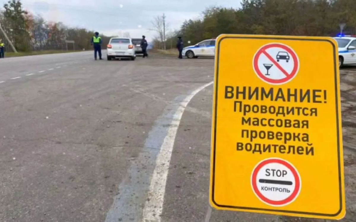 Массовые проверки водителей пройдут в выходные на дорогах Воронежской области