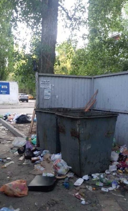 Воронежцы пожаловались на работу управляющих компаний из-за мусора во дворах Воронежцы пожаловались на работу управляющих компаний из-за мусора во дворах