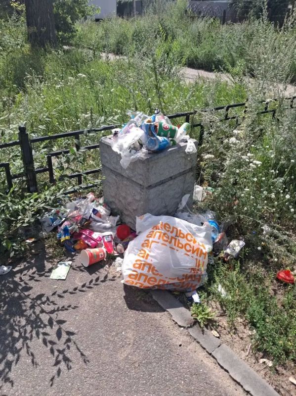 Воронежцы пожаловались на работу управляющих компаний из-за мусора во дворах Воронежцы пожаловались на работу управляющих компаний из-за мусора во дворах