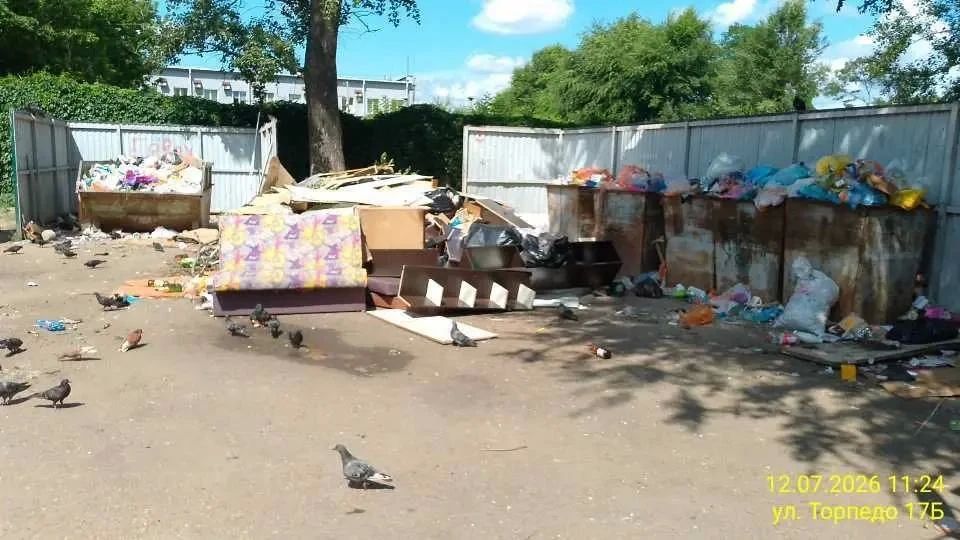 Воронежцы пожаловались на работу управляющих компаний из-за мусора во дворах Воронежцы пожаловались на работу управляющих компаний из-за мусора во дворах