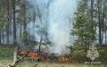 В зоне риска возникновения лесных и ландшафтных пожаров находятся 840 населенных пунктов Воронежской области