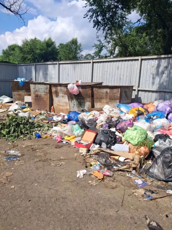 Воронежцы пожаловались на работу управляющих компаний из-за мусора во дворах Воронежцы пожаловались на работу управляющих компаний из-за мусора во дворах