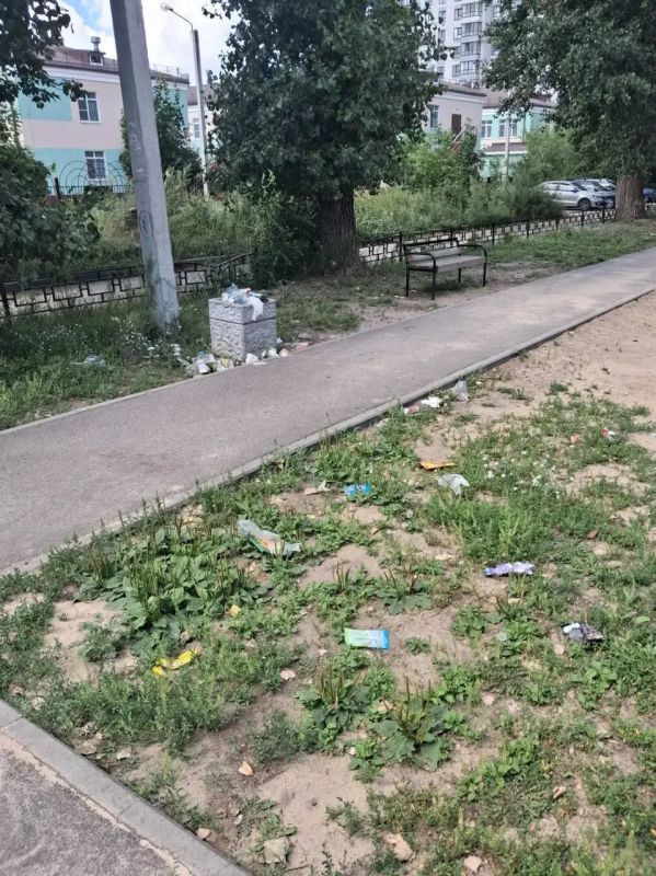 Воронежцы пожаловались на работу управляющих компаний из-за мусора во дворах Воронежцы пожаловались на работу управляющих компаний из-за мусора во дворах