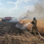 Пламя уничтожило 2 гектара пшеничного поля в Воронежской области