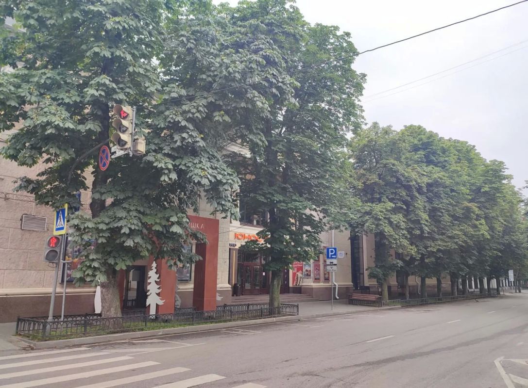 Воронежский общественник попросил власти спасти каштановые улицы города Воронежский общественник попросил власти спасти каштановые улицы города