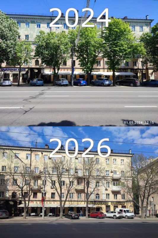 Воронежский общественник попросил власти спасти каштановые улицы города Воронежский общественник попросил власти спасти каштановые улицы города