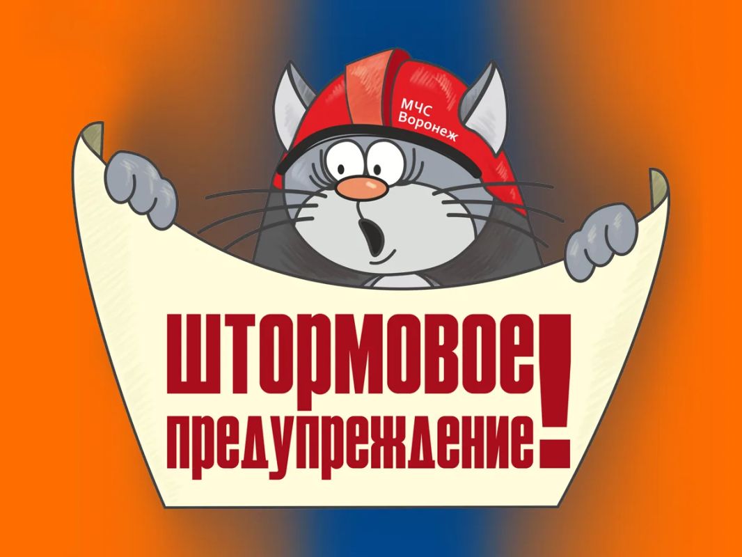 От Воронежского центра по гидрометеорологии и мониторингу окружающей среды получено «Штормпредупреждение»: