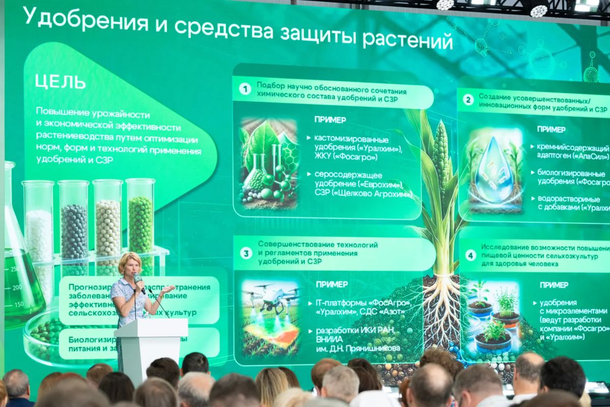 «Всероссийский день поля — 2026» стал одним из самых масштабных за всю историю выставки