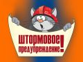 От Воронежского центра по гидрометеорологии и мониторингу окружающей среды получено «Штормпредупреждение»: