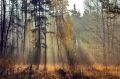 Друзья, напоминаем, что до окончания приема заявок на Межрегиональный конкурс фотографий "Природа родного края" осталось всего 7 дней