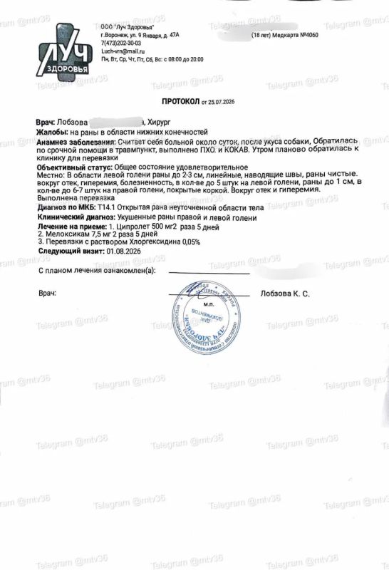 Собаки напали на двух девушек на Олимпийском бульваре Собаки напали на двух девушек на Олимпийском бульваре