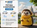 ������� ������ �� 28 ����. ������� � ������������