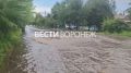 Бурлящий поток грязной воды в очередной раз затопил улицу Петрозаводскую Улица ушла под воду после сегодняшнего ливня. По словам воронежцев, причина в том, что канализационные стоки из домов на Моисеева текут по одному...