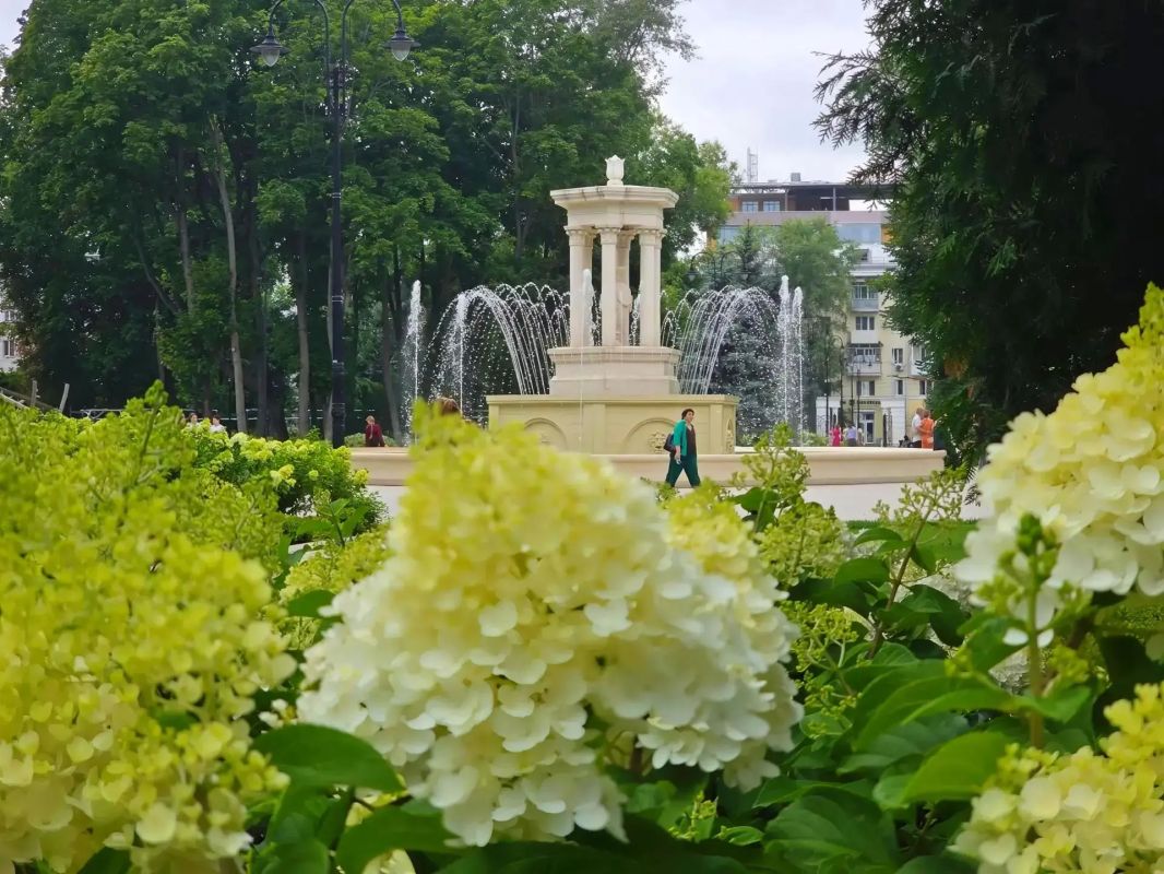 Друзья, приглашаем на прогулки в эти теплые и солнечные летние дни Друзья, приглашаем на прогулки в эти теплые и солнечные летние дни