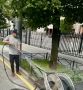 Продолжаем заботиться о зелёных насаждениях Центрального района