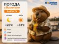 Воронежцы рискуют превратиться в печенье из-за жаркой погоды в этот понедельник