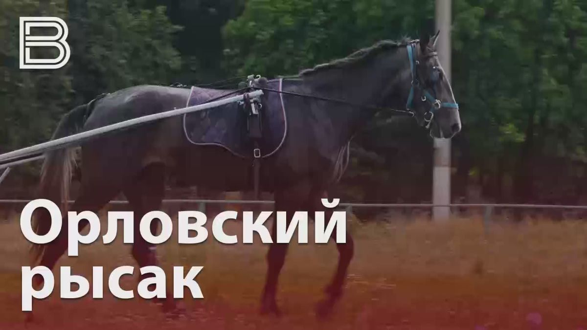 Юбилей Хреновского конезавода