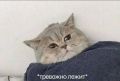 ��������� ������ ���� ������� �������� ���������� �� ������ �������� 2026-��