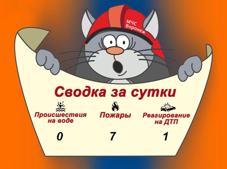 Оперативная сводка за сутки