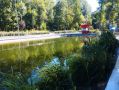 В Воронежском центральном парке проведены очередные работы по очистке водоема
