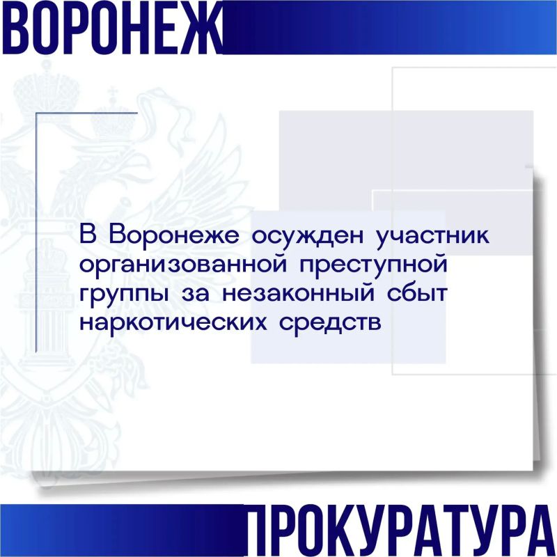 Представителем прокуратуры города Воронежа поддержано государственное обвинение в суде по уголовному делу в отношении 20-летнего Данила Соловья