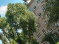 Светящиеся при свете дня фонари озадачили воронежцев