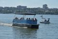Прокуратура нашла нарушения в перевозке воронежцев по водохранилищу