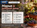 4 ������� - �������� ����� ������ ����