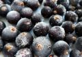 Секреты замораживания смородины: сохраняем вкус и аромат