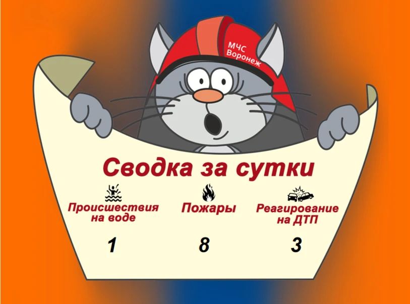 Оперативная сводка за сутки